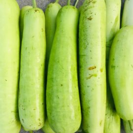 Bottle Gourd